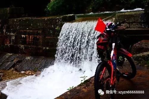 逃离声望森林