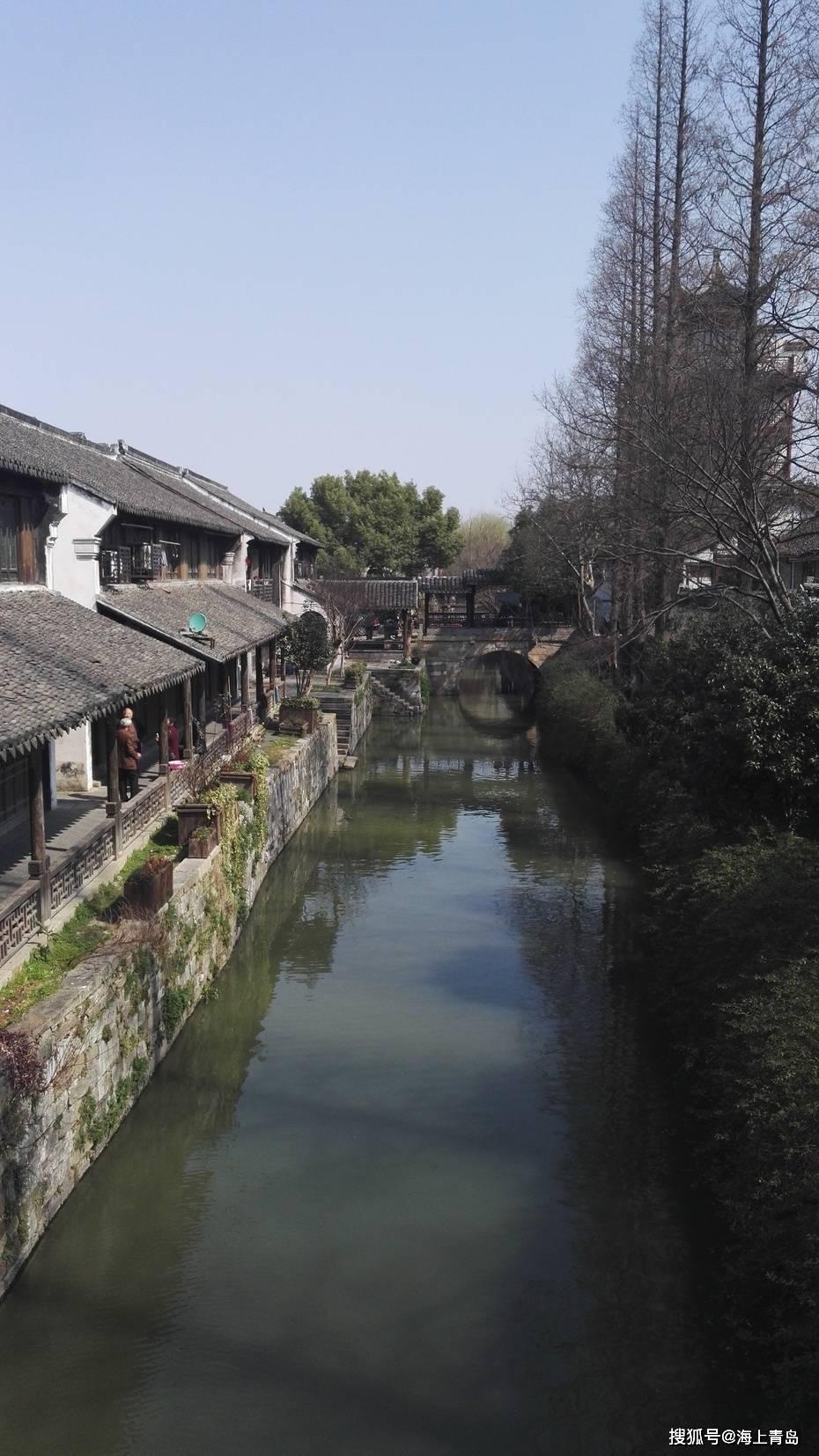 泰狮鱼好吃吗？游戏画面